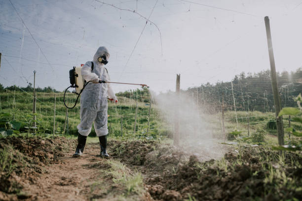 Best Pest Removal Services  in Coquille, OR