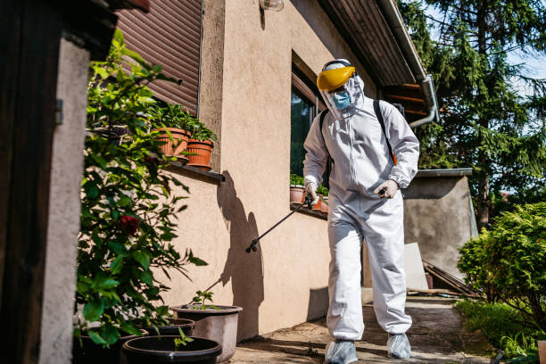 Best Bed Bug Extermination  in Coquille, OR