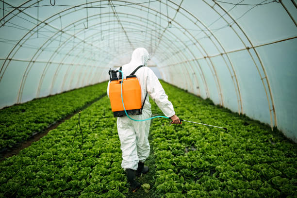 Best Pest Control for Businesses  in Coquille, OR