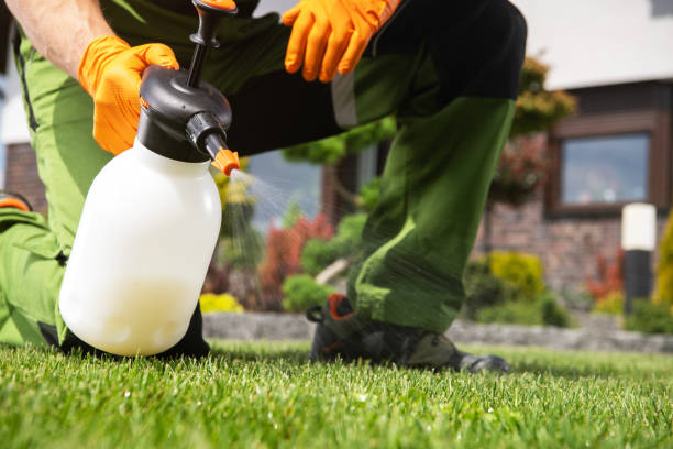 Best Mosquito Control Services  in Coquille, OR