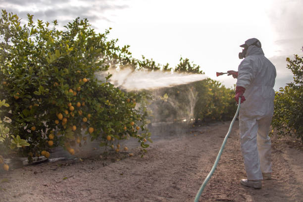 Best Exterminator Services  in Coquille, OR