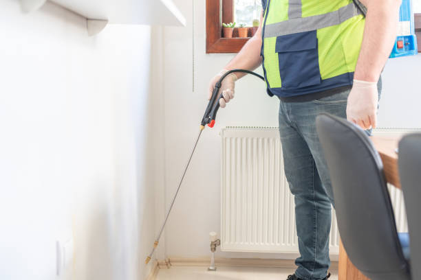 Best Wasp Removal Services  in Coquille, OR