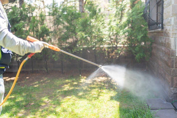 Best Bird Control  in Coquille, OR