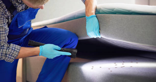 Best Affordable Pest Control Services  in Coquille, OR