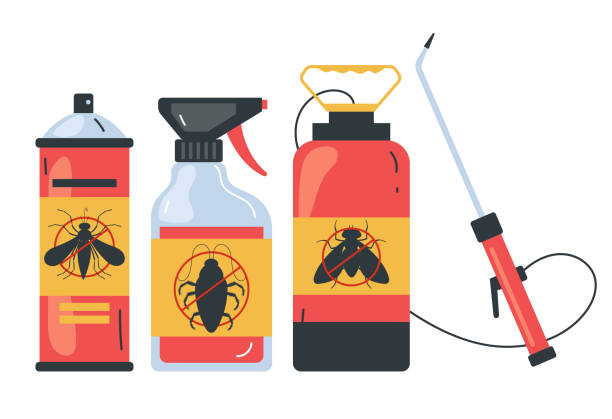 Best Spider Control Near Me  in Coquille, OR