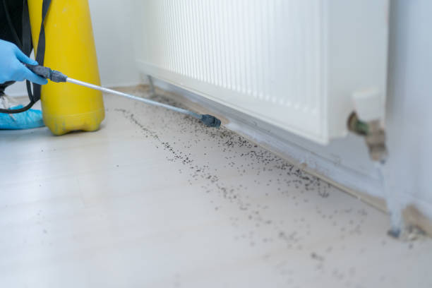 Best Pest Control Near Me  in Coquille, OR