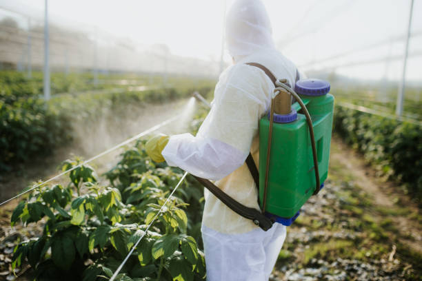 Best Rat Extermination Near Me  in Coquille, OR